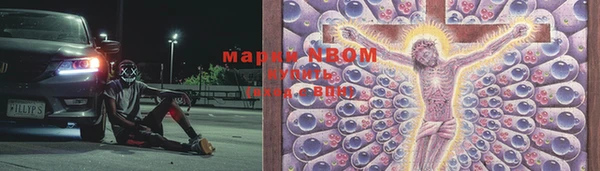 apvp Каменногорск
