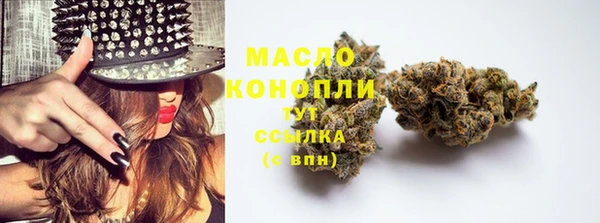 apvp Каменногорск