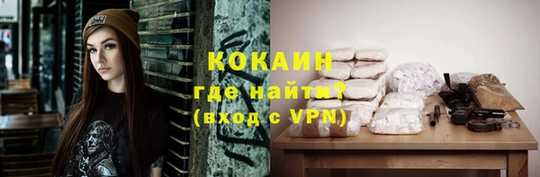 apvp Каменногорск