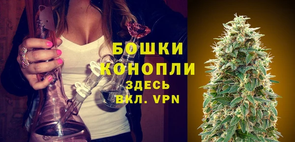 apvp Каменногорск