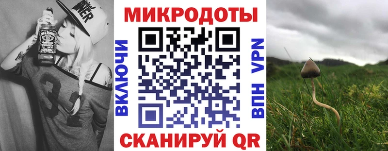 Купить  Духовщина  Галлюциногенные грибы мицелий 